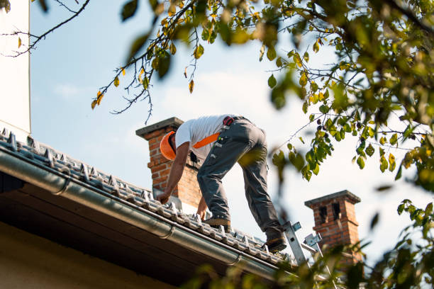 Best Roofing Contractor Near Me  in Dexter, OR